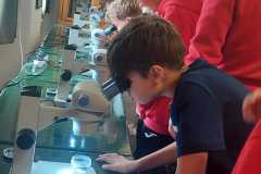 IMG-20250325-WA0031