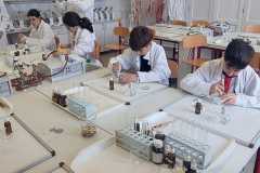 IMG-20250326-WA0016