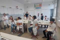 IMG-20250326-WA0017