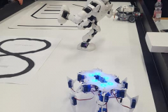 Robotika bemutató a nemzetközi csoport számára