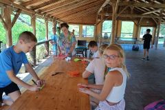 IMG20250818113835