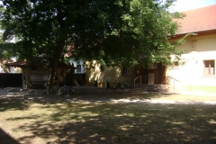 DSC08217