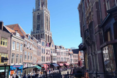 Ams11