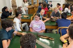 IMG-20250521-WA0041-1