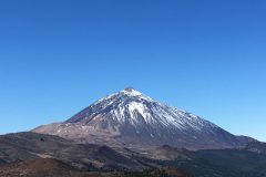 IMG_0803-1-scaled