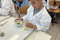 1331b127-b61e-49b4-a992-ae5f913cefcb