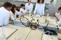 24015850-e566-4a8d-ae18-b0471d55c15f