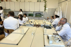 6ea8b8ef-553b-4b70-8d87-aea5b4c6b0fd