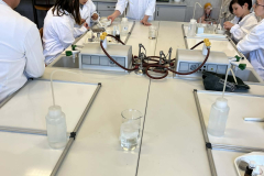 75e1c41d-5fb9-4eb9-9212-d40b78a79434