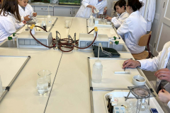 95399e17-2170-48f6-a957-401874e986eb