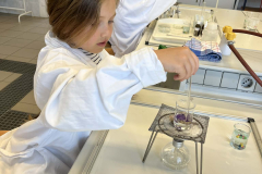 9dd20fbc-9649-47da-913d-cbe7d69a2d46