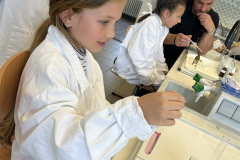 a0b2154d-2d9c-437a-8459-06ae2b10bfe4