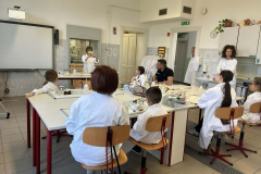 d8790b54-37d2-40eb-9405-4de90b6a317e