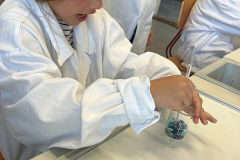 e759a415-1b81-49d1-b1db-c5ba582d746b