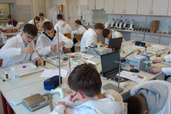 Laborkaland_fenykep-5