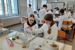 Laborkaland_fenykep-6