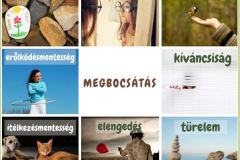 Megbocsátás 2024 