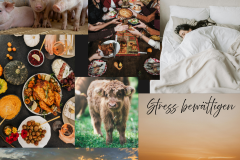 Black Simple Type Of Learners Poster - 1