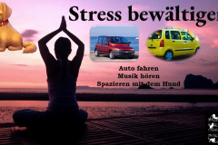 thumbnail_Peti
