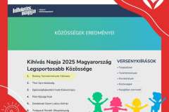 BI-kihivas-napja-nyertes-kozosseg