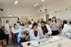 552963580_3698100777153438_7589166288053537375_n