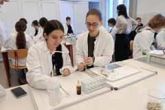 553346119_3679719702336000_6037329938728842215_n