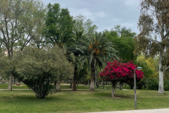 image4