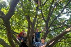 445377363_473083625382345_1102248630220787657_n