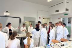 445587724_1819008115261641_8289553744681159193_n